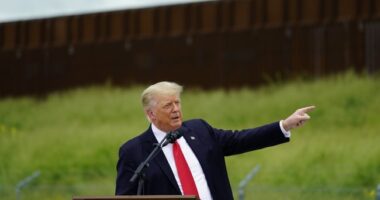 Trump Taking Back Border Wall Material That Biden Abandoned – RedState