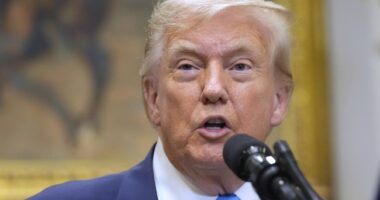 Trump Tells Schumer to 'Go to Hell,' As Senate Nominee 'Deal' Blows Up – RedState