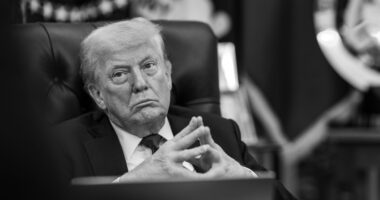 Trump Warns of 'Great Depression' If Appeals Court Rules Against His Tariffs.