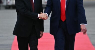 Donald Trump (pictured right) says there are plans underway for an historic meeting between Ukrainian President Volodymyr Zelensky after a phone call with Russian President Vladimir Putin (pictured left)