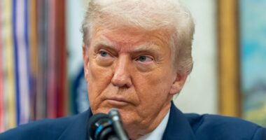 Trump claims ‘billions of dollars’ now flowing into US after president’s new tariffs come into effect