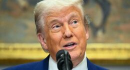 Donald Trump (pictured) has demanded UK pharmaceutical giants lower prices for America and suggested charging others to make up the difference
