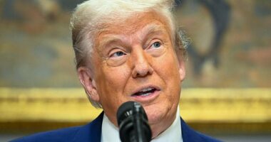 Donald Trump (pictured) has demanded UK pharmaceutical giants lower prices for America and suggested charging others to make up the difference