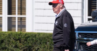 Trump fumes at contractor for ‘stupid’ rose garden damage