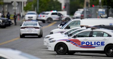 Trump is Right About DC Crime (and the Media Doesn't Want to Report It) – HotAir