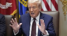 Donald Trump called for anyone who commits murder in Washington, D.C. to face the death penalty. The president insisted during his Cabinet meeting on Tuesday that he wasn't a dictator just because he knows 'how to stop crime' with his federal takeover of the D.C. police force.
