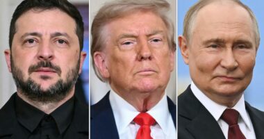Trump pushes for Putin-Zelensky meeting to end war as Russia continues attacks on Ukraine: Live updates