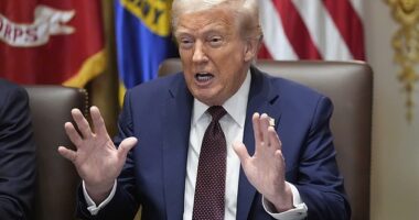 President Donald Trump said that left-leaning network MSNBC is worse than the violent Venezuelan gang Tren de Aragua