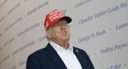 Trump says he’ll fire Fed’s Cook. Why the Supreme Court might block such a move.