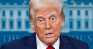 President Donald Trump has issued an extraordinary rebuke of Ukrainian President Volodymyr Zelensky, telling him he can 'end the war with Russia'