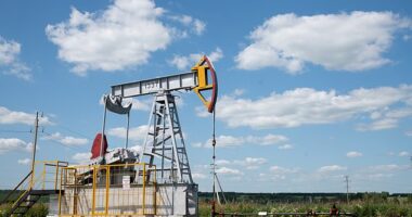 On Wednesday, the commander-in-chief enforced an extra 25 percent tariff on India ¿ a punishment for the country buying Russian oil. That will bring the total tariff on imports from Indian to 50 percent