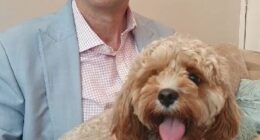 I took a few minutes to sketch out my reply, before asking my wife to record me, seated on the sofa in our living room, writes Richard Eden