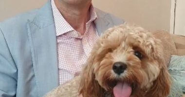 I took a few minutes to sketch out my reply, before asking my wife to record me, seated on the sofa in our living room, writes Richard Eden