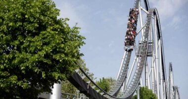 Tuesday was a key day, as momentum plays flopped while value stocks rallied. But was it a shift or a blip?