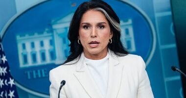 Tulsi Gabbard continued her purge of the deep state, revoking security clearances of 37 Obama-linked officials tied to the infamous Russiagate hoax which she has called a 'treasonous conspiracy'