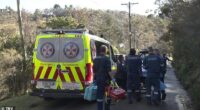 Two men have been found with stab wounds in a house while a woman has been left fighting for life