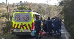 Two men have been found with stab wounds in a house while a woman has been left fighting for life