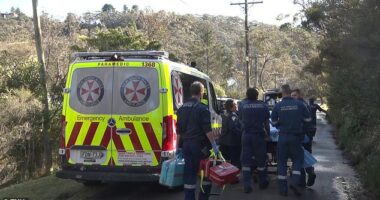 Two men have been found with stab wounds in a house while a woman has been left fighting for life