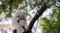 The CDC has reported 50 cases of chikungunya in the US amid an outbreak in China
