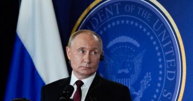 Ukraine-Russia war latest: European leader ‘to join Zelensky for Trump meeting’ after Putin asks for Donbas surrender