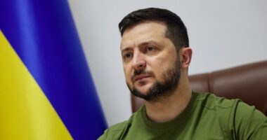 Ukrainian Arrested Over Nord Stream Pipeline Sabotage.