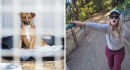 Unhinged ‘Karen’ Explodes At Man Walking His Dog, Then Accuses Him Of Harassment After Being Filmed