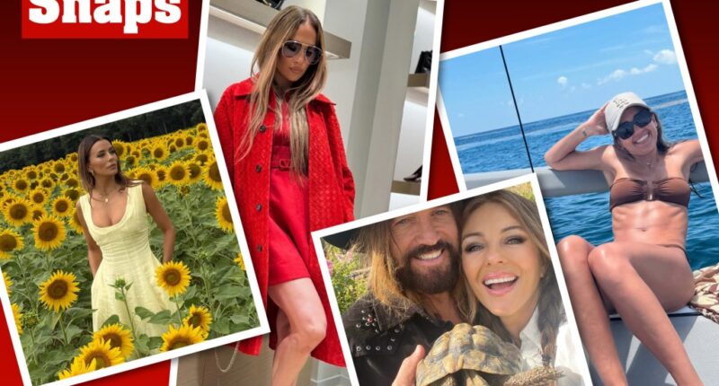 Vanessa Hudgens, Jennifer Lopez, Nick Jonas and more