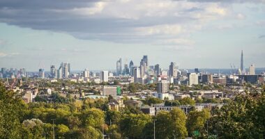 According to researchers, spending at least 15 minutes in nature is vital for city dwellers
