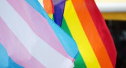 trans and lgbt flags