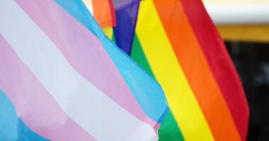 trans and lgbt flags