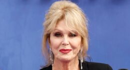 Wednesday star Joanna Lumley wades into debate on whether straight actors can play gay roles