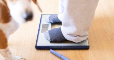 Weight-loss drugs may be covered by Medicare, Medicaid under experimental program