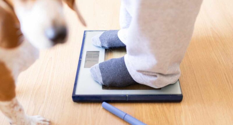 Weight-loss drugs may be covered by Medicare, Medicaid under experimental program