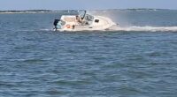 A boat crashed into a 20ft minke whale in New Jersey's Barnegat Bay Saturday afternoon