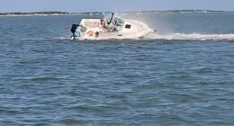 A boat crashed into a 20ft minke whale in New Jersey's Barnegat Bay Saturday afternoon