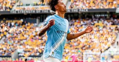 Manchester City signed AC Milan and Netherlands midfielder Tijjani Reijnders for £46.3million and he scored on his Premier League debut