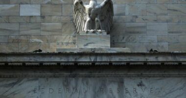 Why a ‘wall of money’ is unlikely to flood into stocks when the Fed cuts rates, this Goldman strategist says