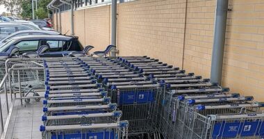 The customer took particular issue with the supermarket after noticing there were hardly any smaller shopping trolleys available during a visit to a store in Victoria