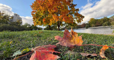 Without this Jackson Hole signal, stocks could slide 15% in the fall, says one strategist