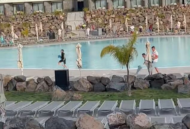 Rachael, 28, from the northeast of England, has said that she's 'seen it all' after watching holidaymakers racing for sunbeds in Lanzarote
