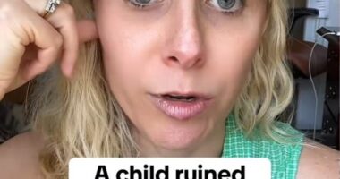 Julia Austin, 36, from Los Angeles, California, sparked a fierce parenting debate online after she revealed a stranger's kid stained her $200 jacket while she was out to eat
