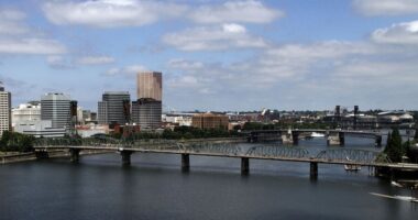 You May Want to Avoid the Library in Portland – HotAir