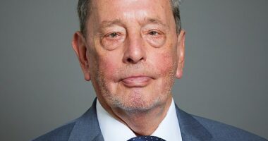 Lord Blunkett backed calls for a new 'Future Workforce Credit' to incentivise the hiring of NEETs