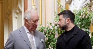 Zelensky thanks King Charles for ‘inspirational’ letter sent to mark Ukraine’s Independence Day