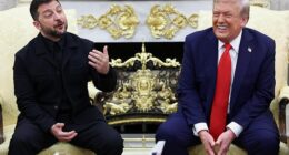 Volodymyr Zelensky delivered a masterful charm offensive to win over President Donald Trump and set up a potential meeting with Vladimir Putin to end the years long war in Ukraine