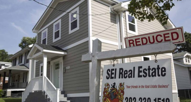 ‘Let them eat compute’ — AI is squeezing the housing market, this provocative take claims