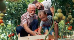 ‘My brother found God in recovery’: How do you save for retirement when ‘God will provide’ is your core value?