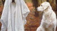 13 Adorable Dogs In Ghost Costumes