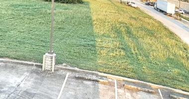 16-Year-Old Texas Boy Charged in Stabbing Death of His Father