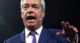 More former Tory ministers will be joining Reform UK following the defection of Nadine Dorries , according to Nigel Farage
